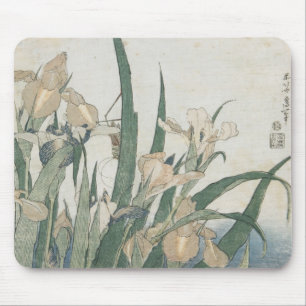 Irisblommor och gräshoppa, c.1830-31 musmatta