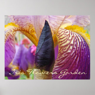Irisblomster trädgård konsttryck canvas inramade p poster