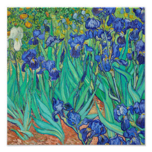 Iriser (1889) av Vincent Van Gogh. Fototryck