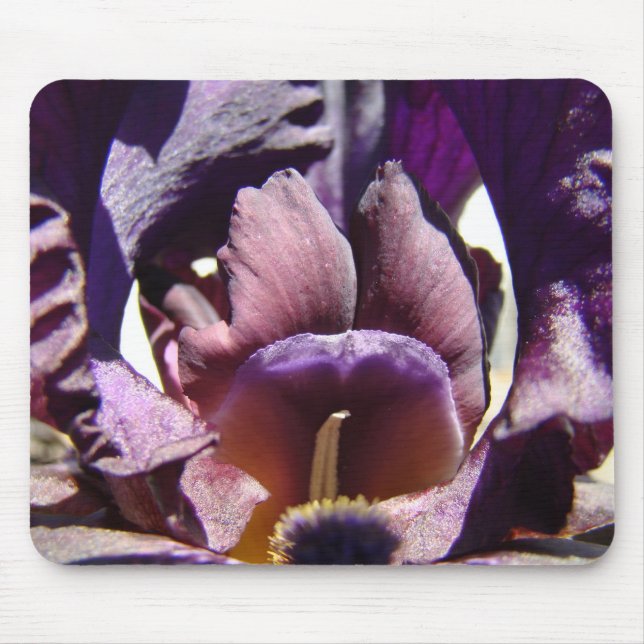 IRISER Lila Iris Blommor MUSDÄCKEN MUSDÄCKE Musmatta (Framsidan)