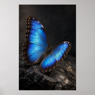 Iriserande blå fjäril på mörk sten naturvägg poster