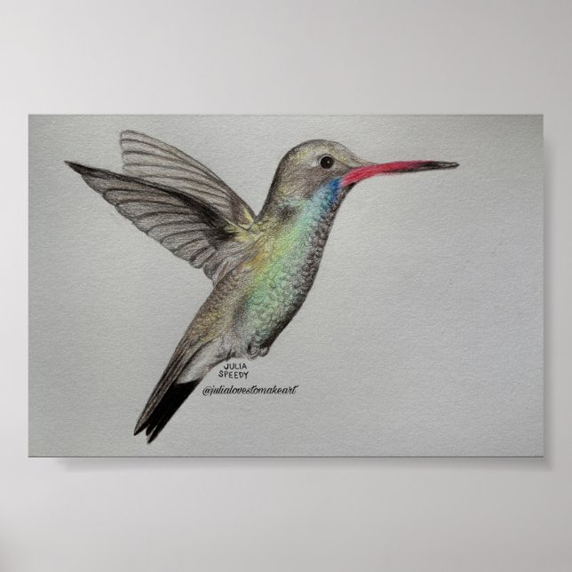Iriserande Kolibri | Pennteckning Konsttryck Poster (Framsidan)