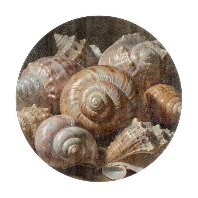 Iriserande snäckskal stilleben  (Framsidan)