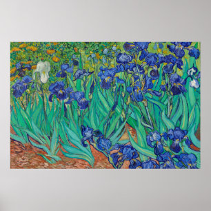 Irisering av Van Gogh Art Painting Poster