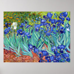 Irisering av Vincent Van Gogh-blomman med vibreran Poster