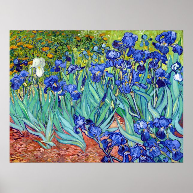 Irisering av Vincent Van Gogh-blomman med vibreran Poster (Framsidan)
