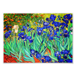 Irisering av Vincent Van Gogh Fototryck