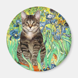 Irisering - Tabby Tiger cat 30 Magnet