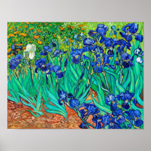 Irises (1889) Vincent Van Gogh Blue blommigt-trädg Poster