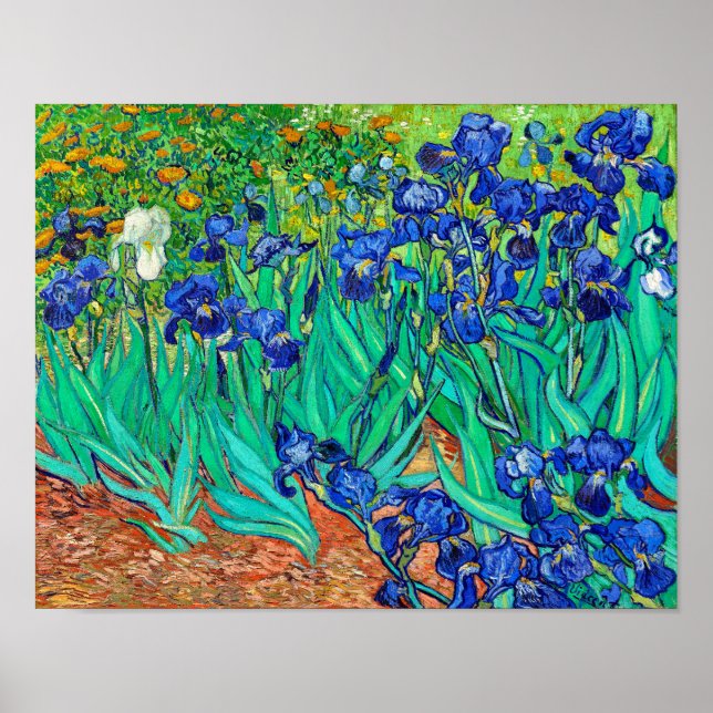 Irises (1889) Vincent Van Gogh Blue blommigt-trädg Poster (Framsidan)