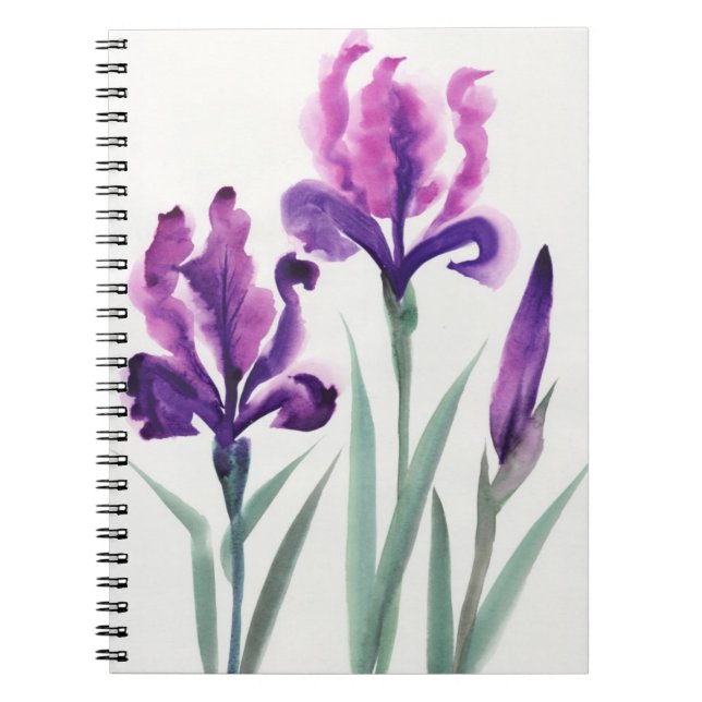 Irises Anteckningsbok (Framsidan)