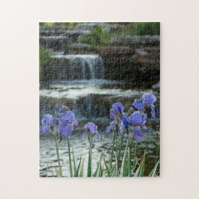 Irises at Chateau Pussel (Vertikal)