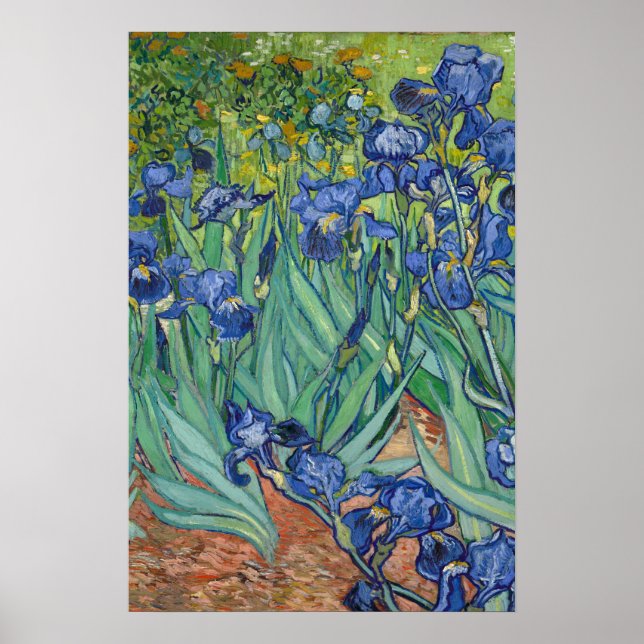 Irises av Van Gogh Poster (Framsidan)