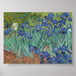 Irises av Van Gogh Poster