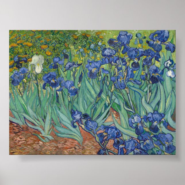 Irises av Van Gogh Poster (Framsidan)