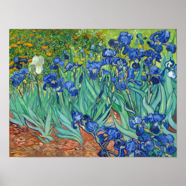 Irises av Van Gogh Poster (Framsidan)