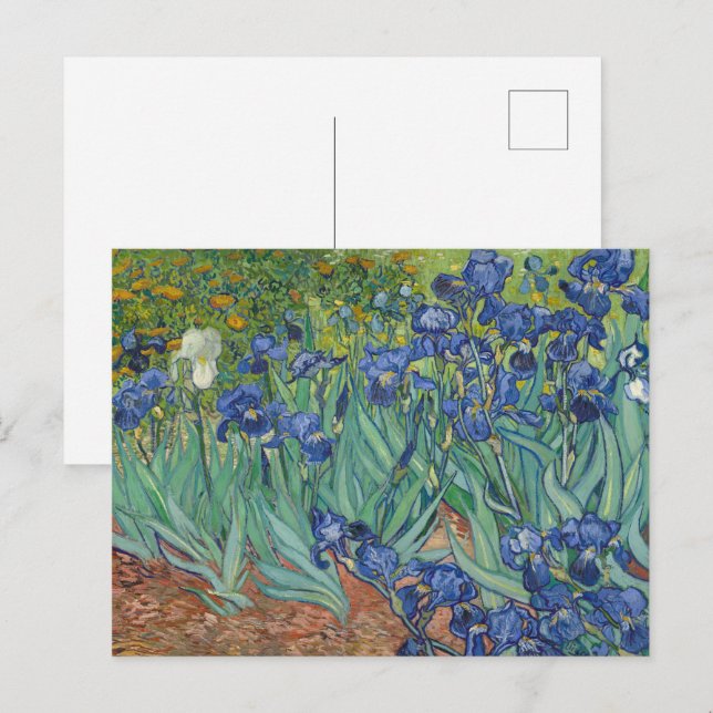 Irises av Van Gogh Vykort (Fram/baksida)
