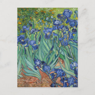 Irises av Van Gogh Vykort