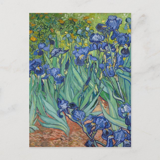 Irises av Van Gogh Vykort (Framsida)