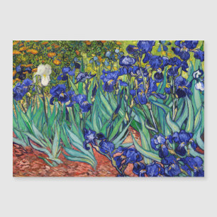 Irises av Vincent van Gogh