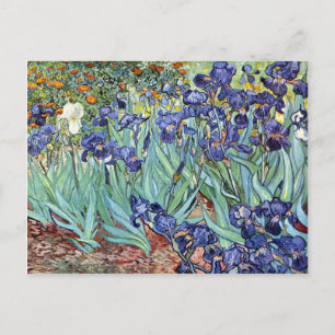 Irises av Vincent Van Gogh 1898 Vykort