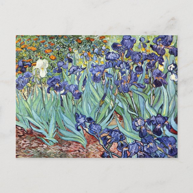 Irises av Vincent Van Gogh 1898 Vykort (Framsida)