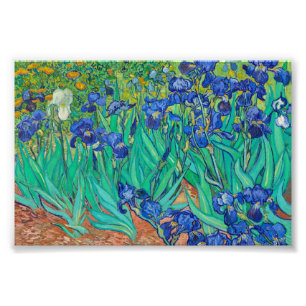Irises av Vincent van Gogh Fototryck