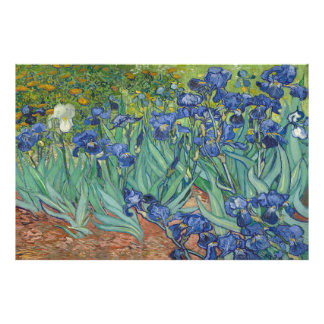 Irises av Vincent van Gogh Fototryck