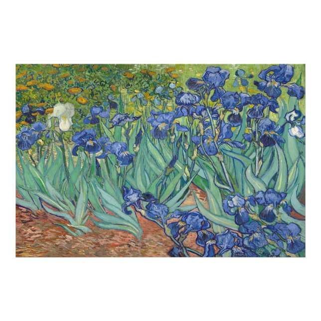 Irises av Vincent van Gogh Fototryck (Framsidan)