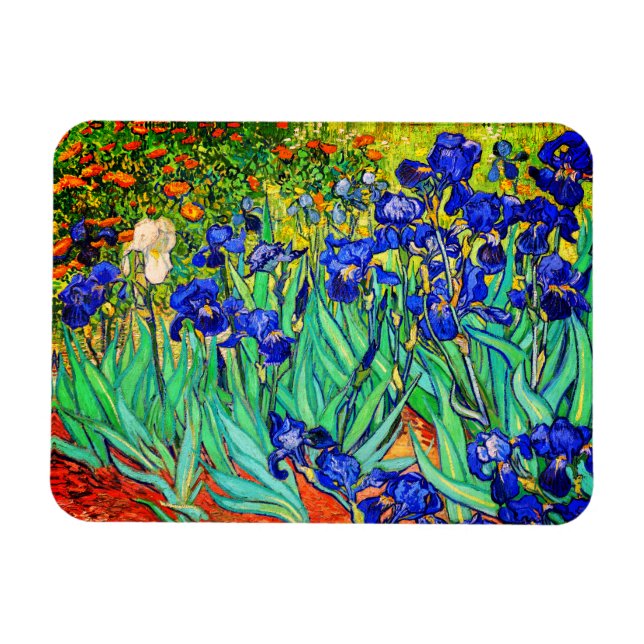 Irises av Vincent Van Gogh Magnet (Horisontell)