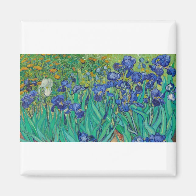 Irises av Vincent van Gogh Magnet (Framsidan)