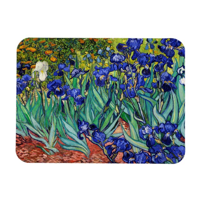 Irises av Vincent van Gogh Magnet (Horisontell)