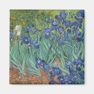 Irises av Vincent Van Gogh Magnet