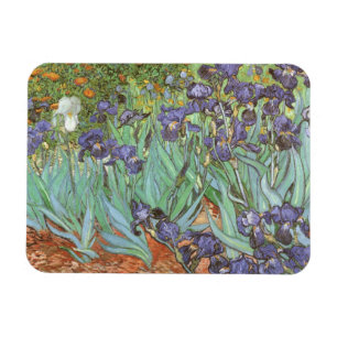 Irises av Vincent van Gogh Magnet
