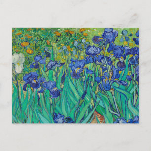 Irises av Vincent van Gogh Postcard Vykort