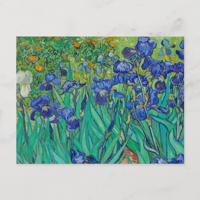 Irises av Vincent van Gogh Postcard Vykort (Framsida)