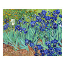 Irises av Vincent van gogh