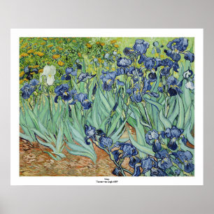 Irises av Vincent van Gogh Poster