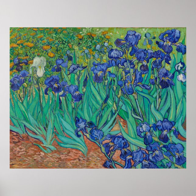 Irises av Vincent Van Gogh Poster (Framsidan)