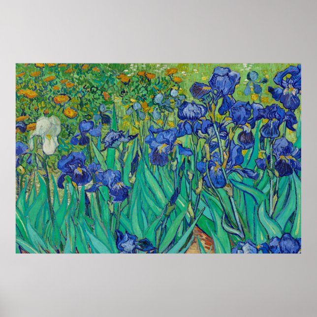 Irises av Vincent van Gogh Poster (Framsidan)