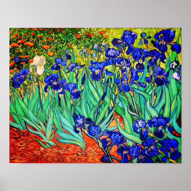 Irises av Vincent Van Gogh Poster (Framsidan)