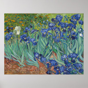 Irises av Vincent Van Gogh Poster