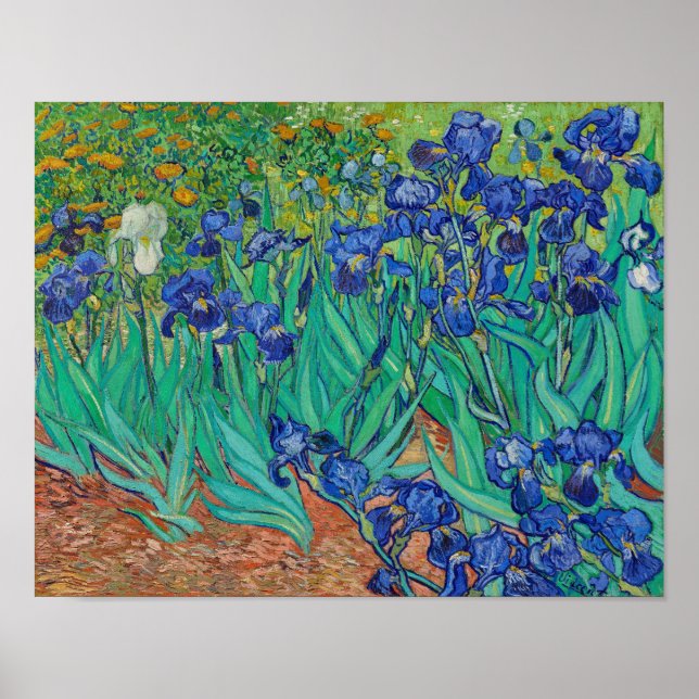 Irises av Vincent Van Gogh Poster (Framsidan)