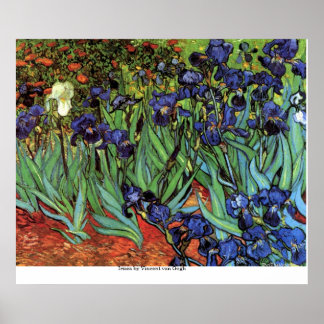 Irises av Vincent van Gogh Poster