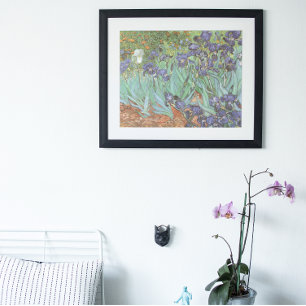 Irises av Vincent van Gogh Poster