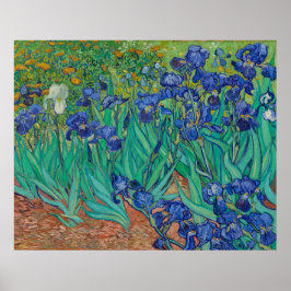 Irises av Vincent Van Gogh Poster