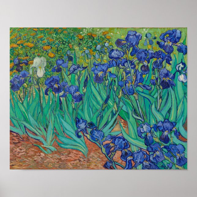 Irises av Vincent Van Gogh Poster (Framsidan)