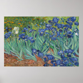 Irises av Vincent van Gogh Poster