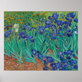Irises av Vincent Van Gogh Poster