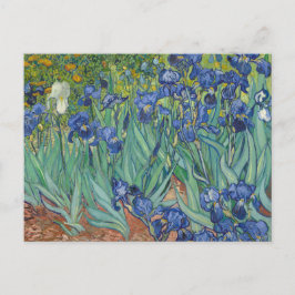 Irises av Vincent Van Gogh Vykort